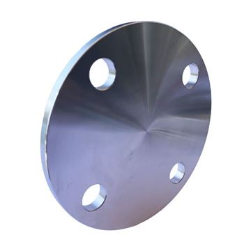 Picture of 80NB TABLE D BLIND FLANGE 316L  