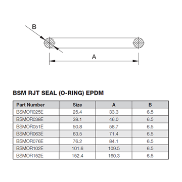 Picture of 38.1 BSM EPDM ORing