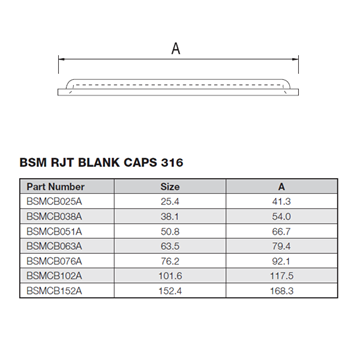 Picture of 50.8 BSM BLANK CAP 316