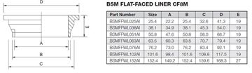 Picture of 50.8 BSM FLAT FACE BUTTWELD LINER CF8M