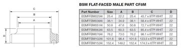 Picture of 101.6 BSM FLAT FACE BUTTWELD MALE PART CF8M