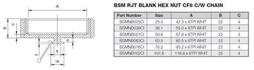 Picture of 38.1 BSM BLANK HEXAGON NUT CF8 C/W CHAIN