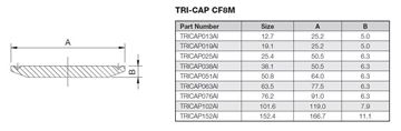 Picture of 76.2 TriClamp CAP CF8M