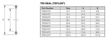 Picture of 76.2 TriClamp SEAL TEFLON