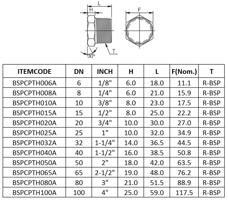 R15 Bsp Hexagon Head Plug 316 Asme B16.11 - Prochem