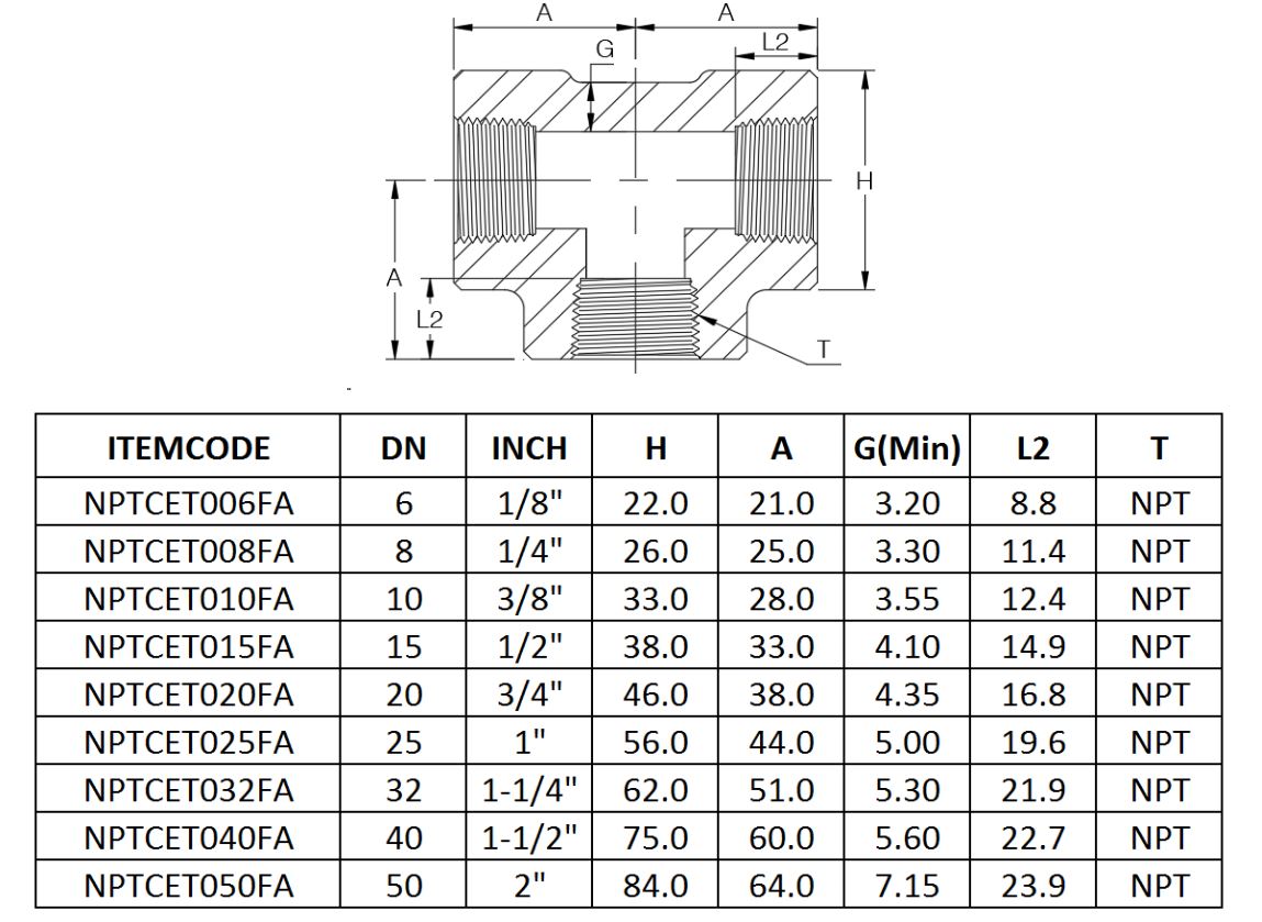 NPT Tee CL3000 - Prochem